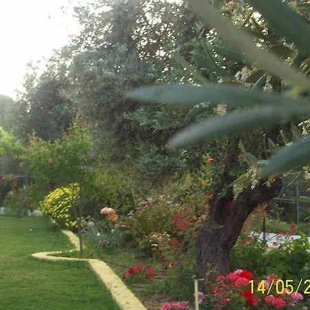 Apartment Yalis Achladies (Skiathos)