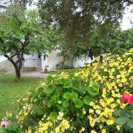 Yalis Achladies (Skiathos)